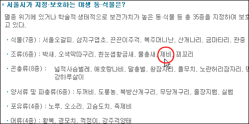 서울시에서 지정·보호하는 조류에 제비도 포함되어 있다. 